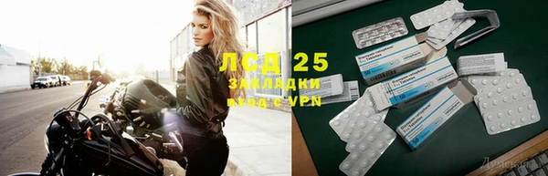 твердый Дмитров