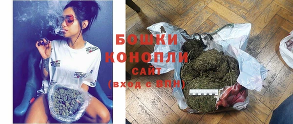 индика Нефтекумск