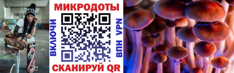 Галлюциногенные грибы Cubensis  Обоянь 